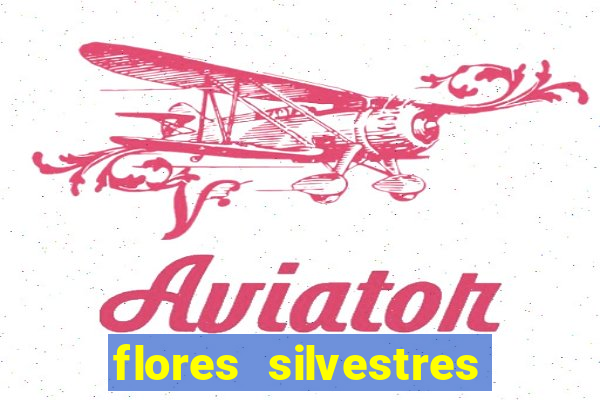 flores silvestres desbravadores desbravadores 25